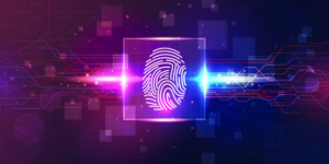 Cos’è una prova nativa digitale – dall’acquisizione alla conservazione